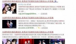 雷州爆料新闻报道视频大全,视频大全精彩回顾