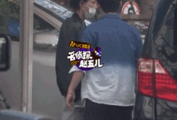 爆料董子健的视频大全,揭秘明星日常与幕后故事