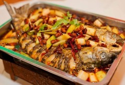 烤鱼店的鱼爆料视频大全,鱼种揭秘与烹饪技巧大公开